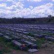 Realizzazione di sistema Illuminazione pubblica alimentato da fotovoltaico a Gioia Tauro