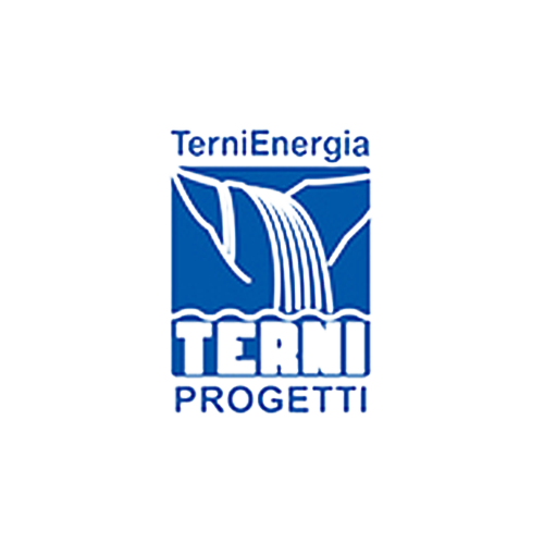 Logo fo client Terni Energy