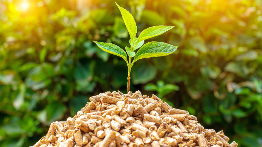 realizzazione impianti a biomassa di qualunque dimensione per privati e aziende
