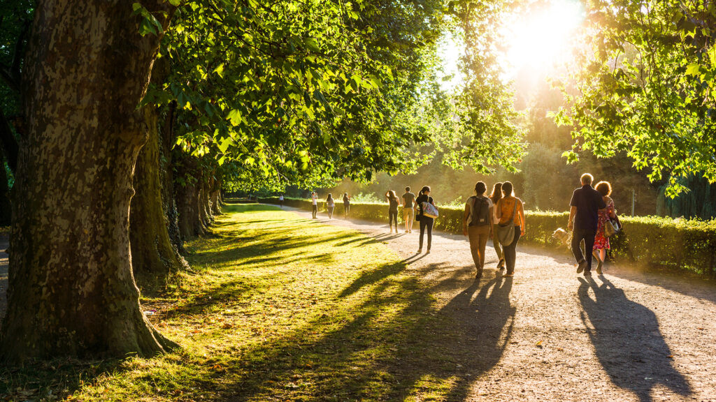 urban rehabilitation parks and boulevards